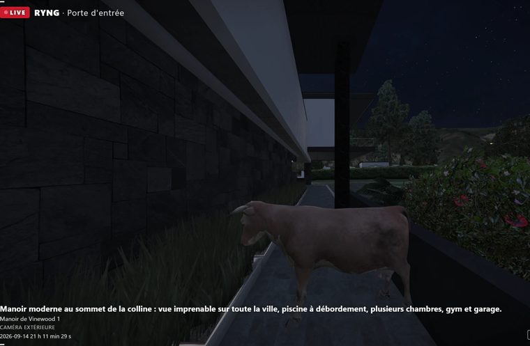 Une vache devant la porte, vue par la caméra Ryng
