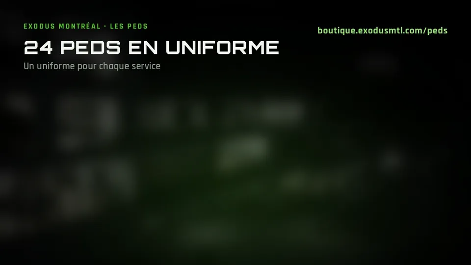 Sept peds en uniforme, un par service : Police de Montréal, Sûreté provinciale, Services correctionnels, Gruppe6, Santé Québec, Camel Tow Montréal et Service incendie