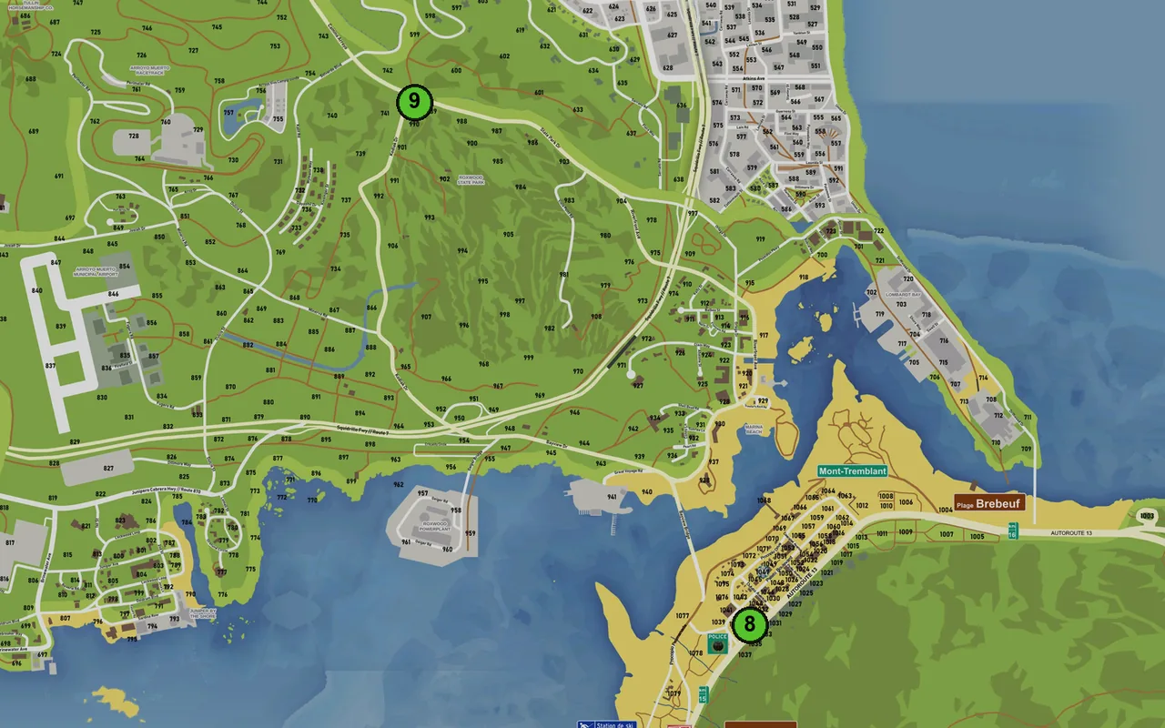 Carte : 8. Ammunation, 9. Ammunation