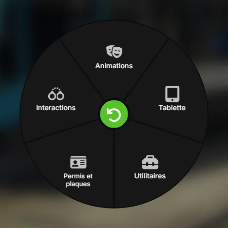 Le sous-menu Personnel : Animations, Tablette, Utilitaires, Permis et plaques, Interactions